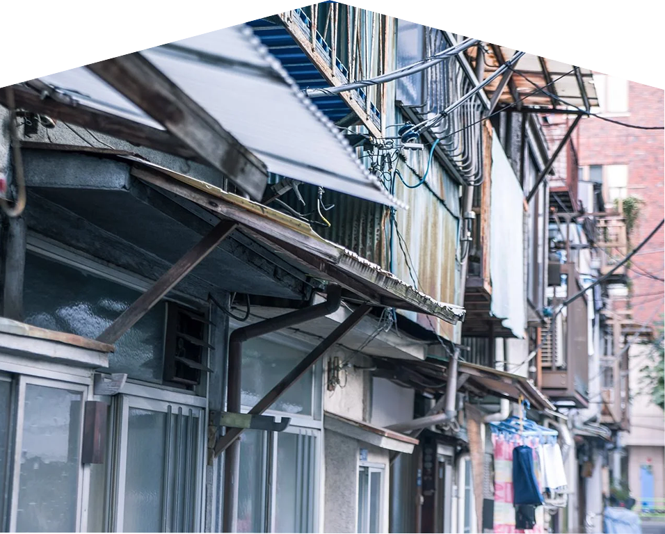 イエシロアリ｜住ケン岐阜