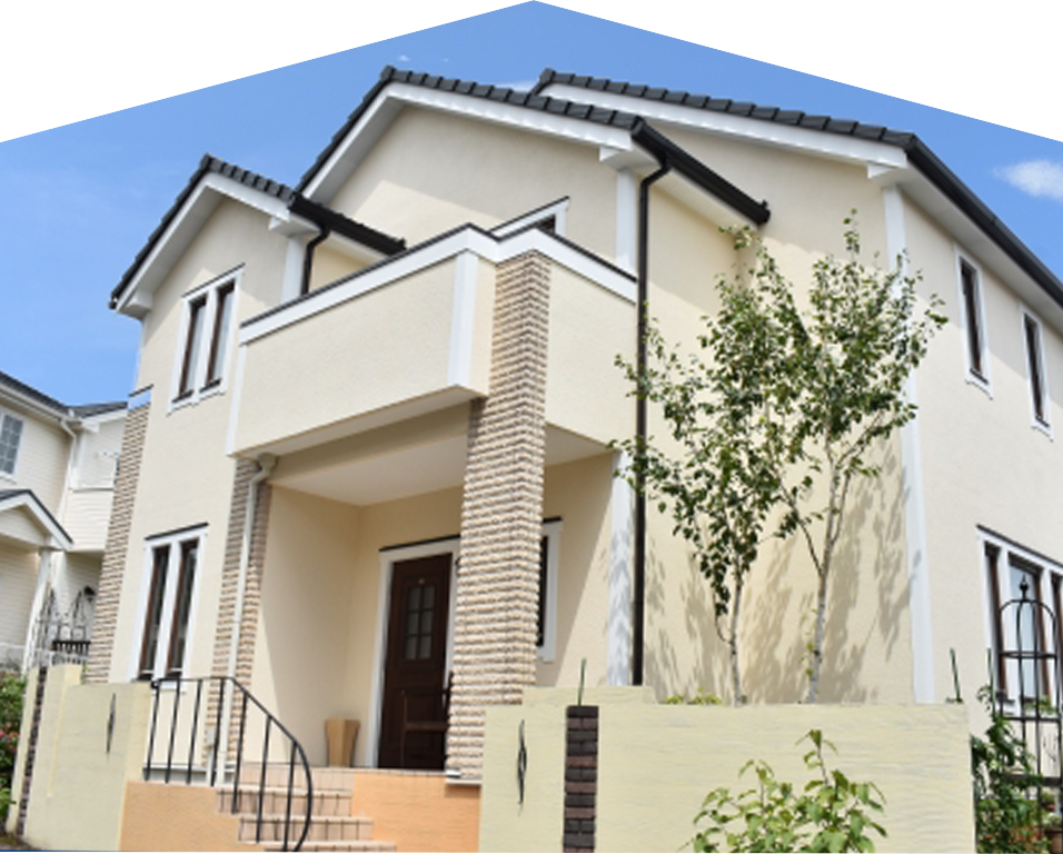 イエシロアリ｜住ケン岐阜