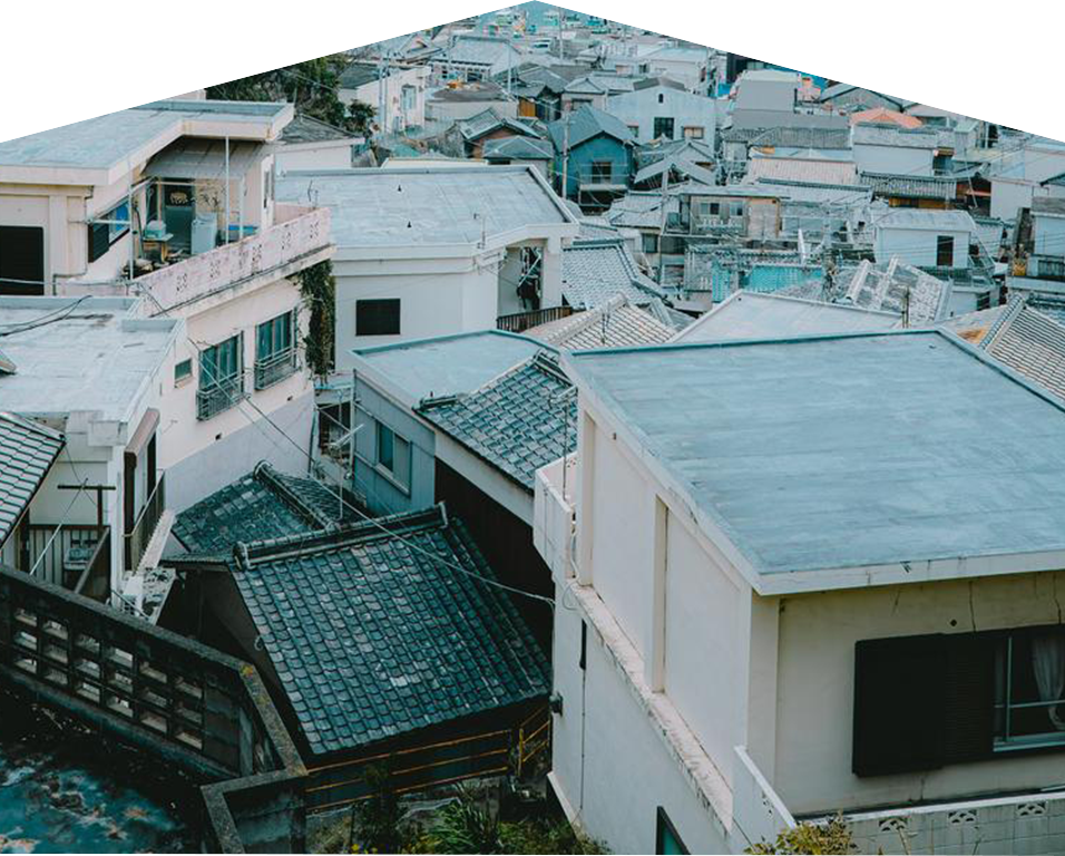 イエシロアリ｜住ケン岐阜