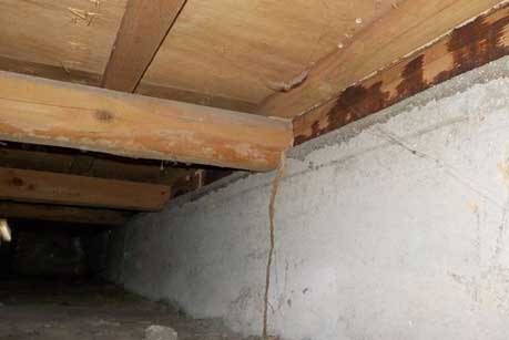 床下診断02｜住ケン岐阜