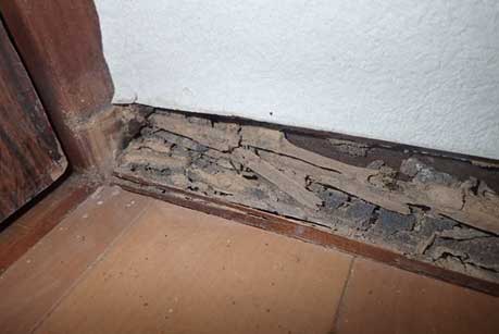 床下診断03｜住ケン岐阜