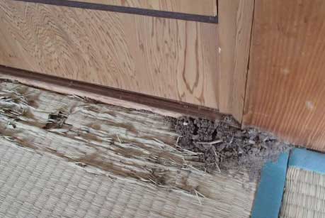 床下診断04｜住ケン岐阜