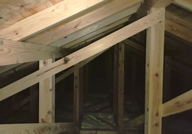 岐阜県愛知県の害虫・害獣駆除は住ケン岐阜におまかせ