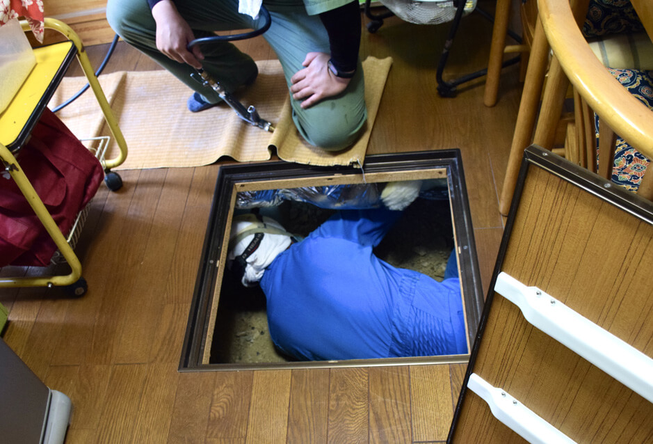 害虫・害獣駆除｜住ケン岐阜